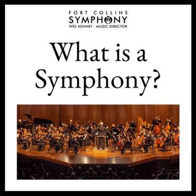 musical form meaning: a symphony of chaos and order